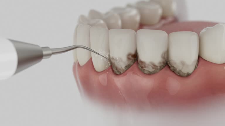 Reliable Dental contractor in Denali Borough County, AK by Dentist Open Now